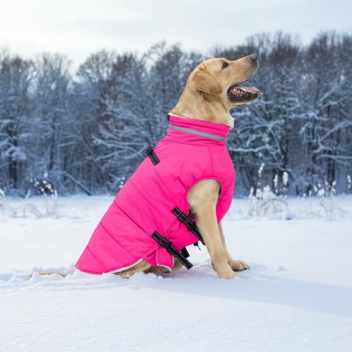 Mklhgty fleece-lined-dog-coat delivers warm, soft comfort on chilly days
