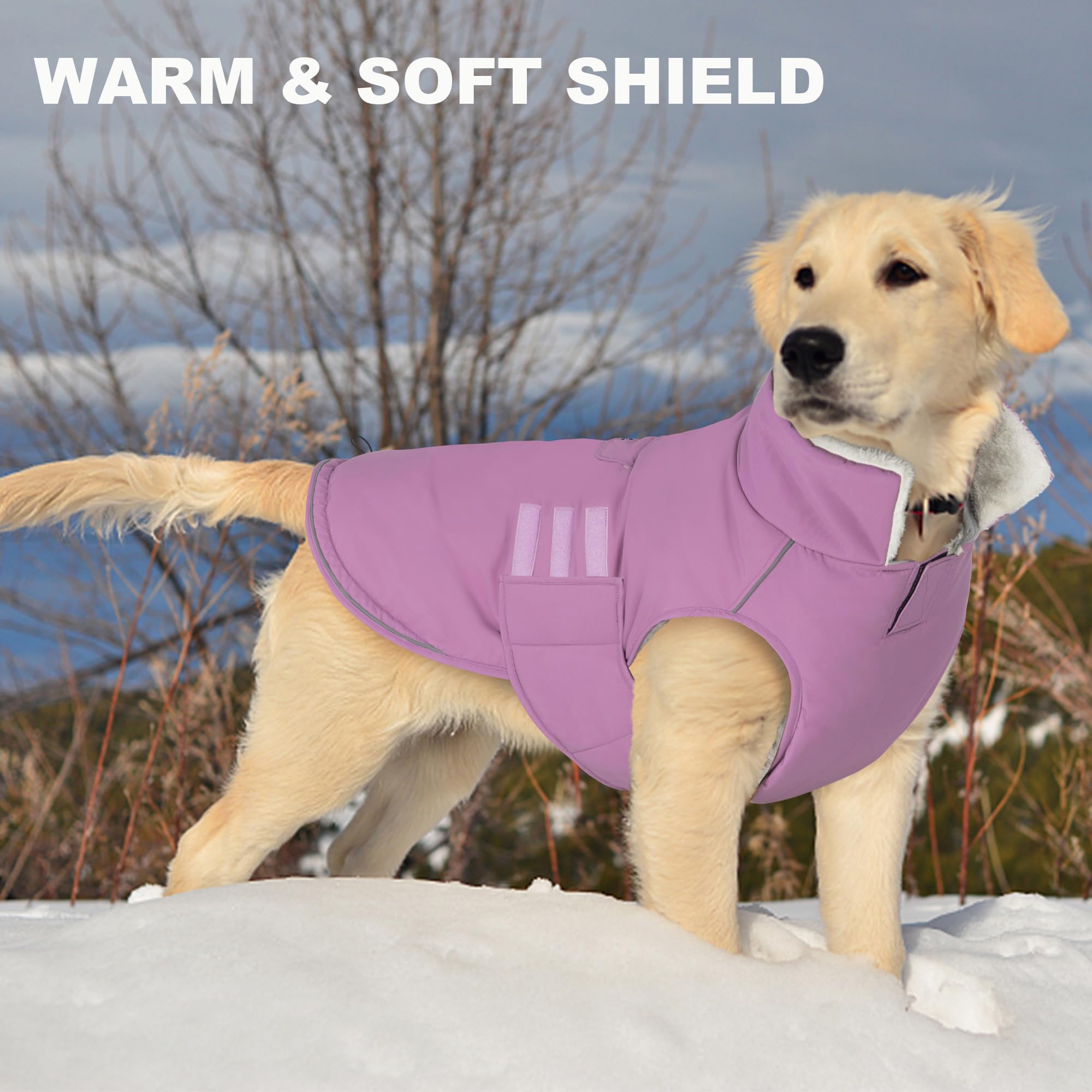 Mklhgty lilac-size variety back view shows four sizes for all breeds.