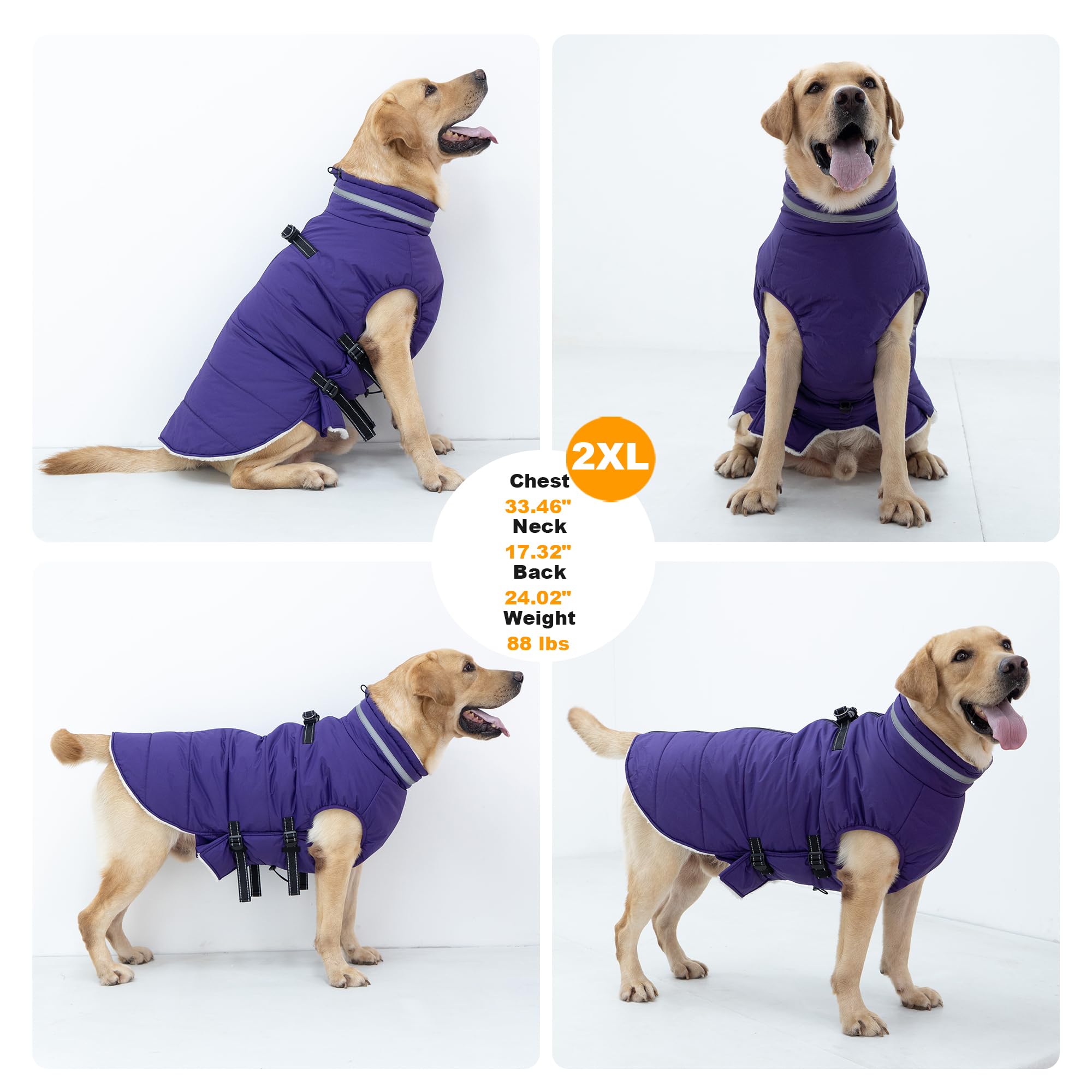 Mklhgty purple winter coat worn outdoors demonstrates warmth and weather protection