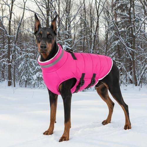 Mklhgty reflective-strips-dog-coat enhances nighttime visibility for safer walks