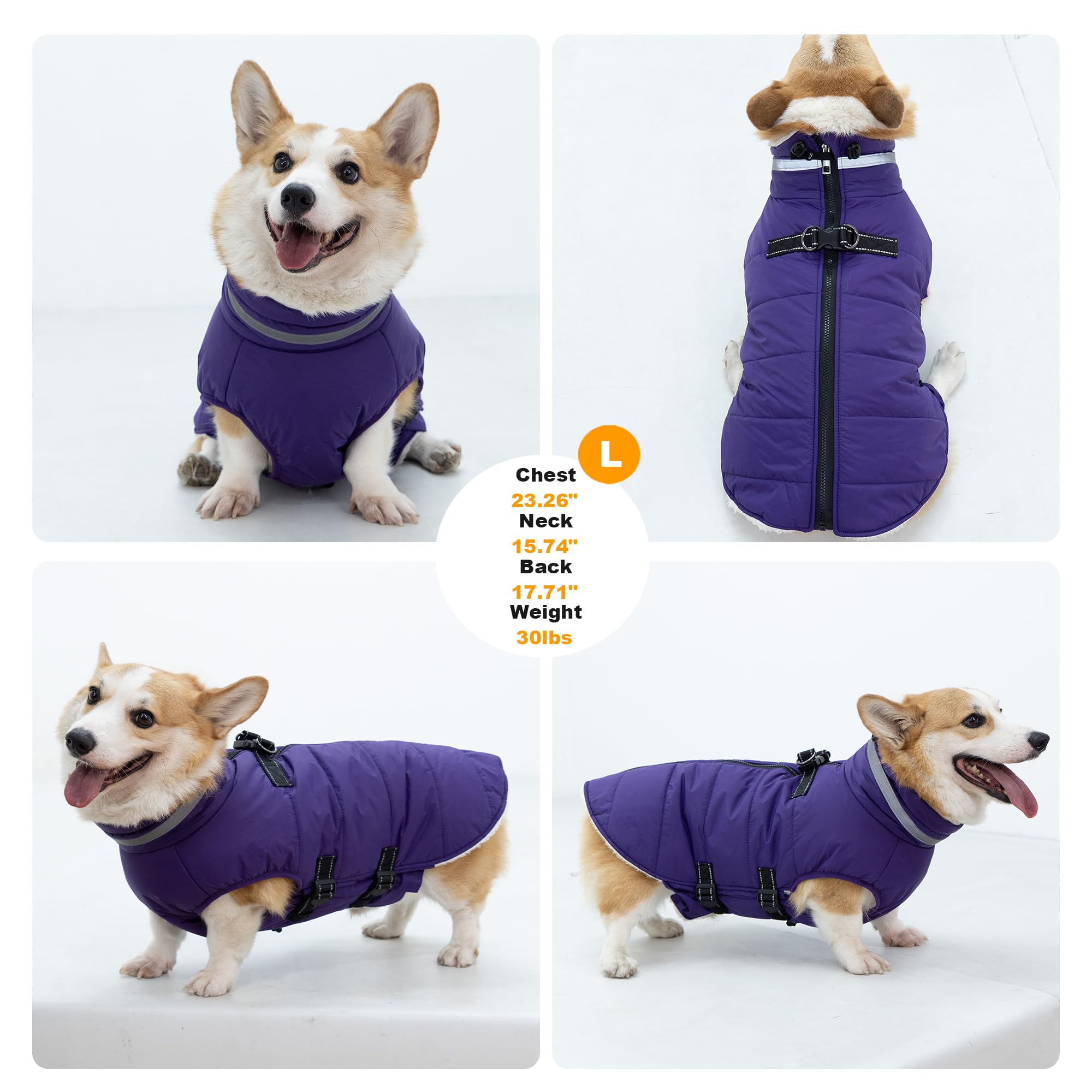 Mklhgty seven-size range ensures a comfortable fit for many breeds