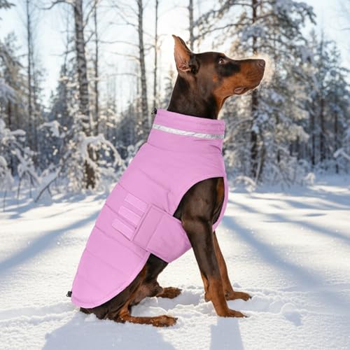 Mklhgty size-inclusive range fits medium to large dogs for secure wear.