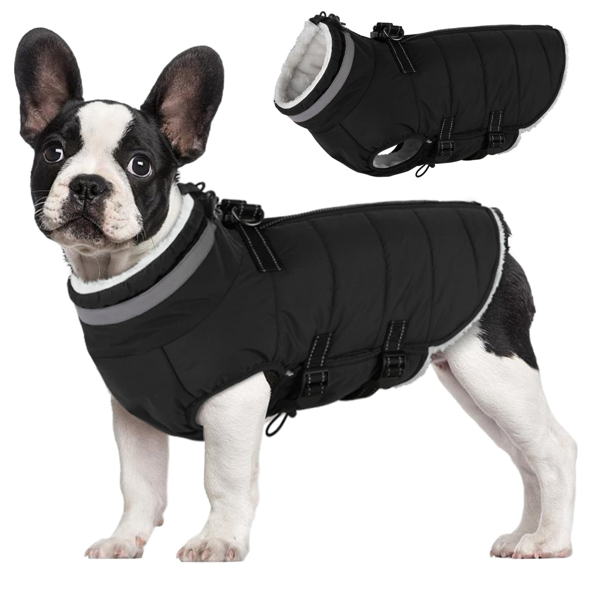 Mklhgty small dog coat with back zipper for easy on-off.