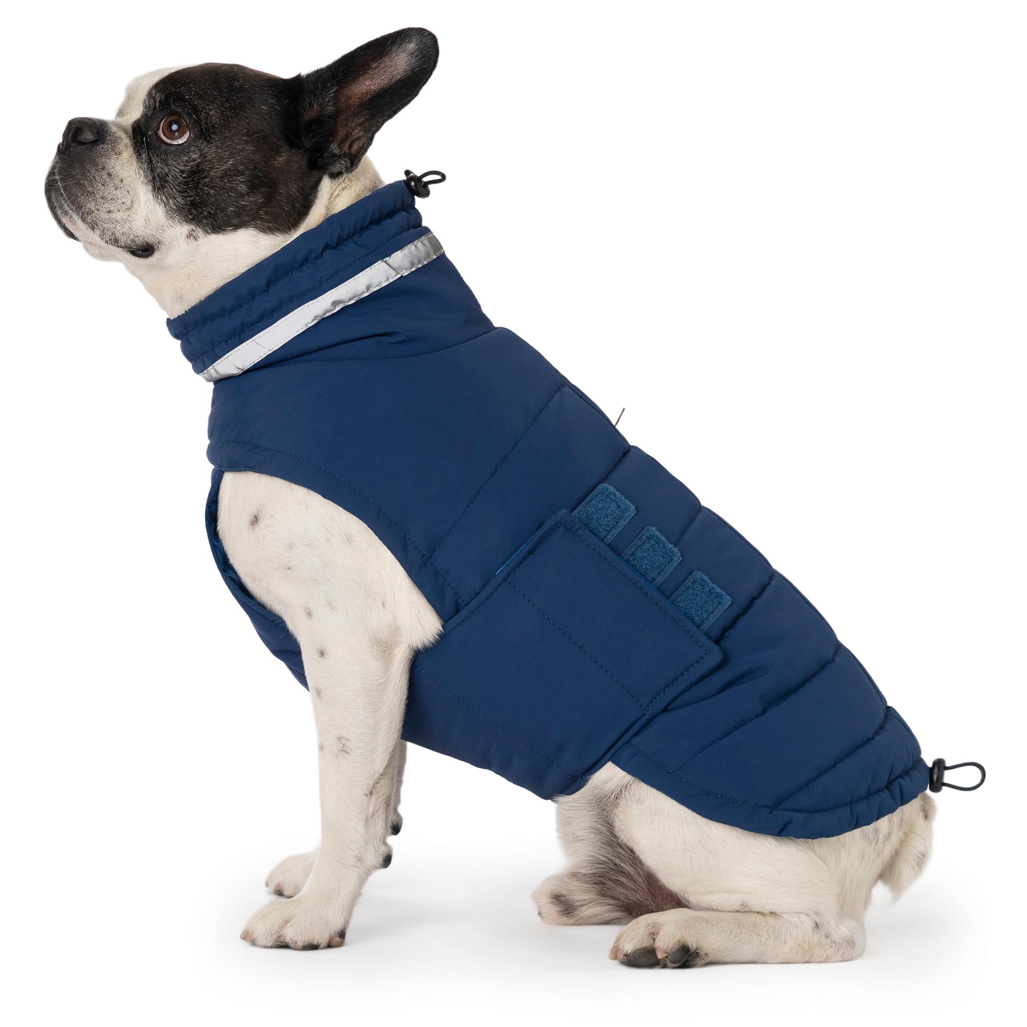 Mklhgty waterproof dog coat blue provides warmth in rain or snow for medium dogs