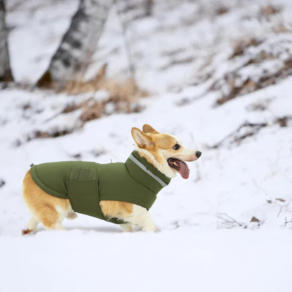Mklhgty waterproof dog coat green S hook-and-loop adjustment for easy dressing.