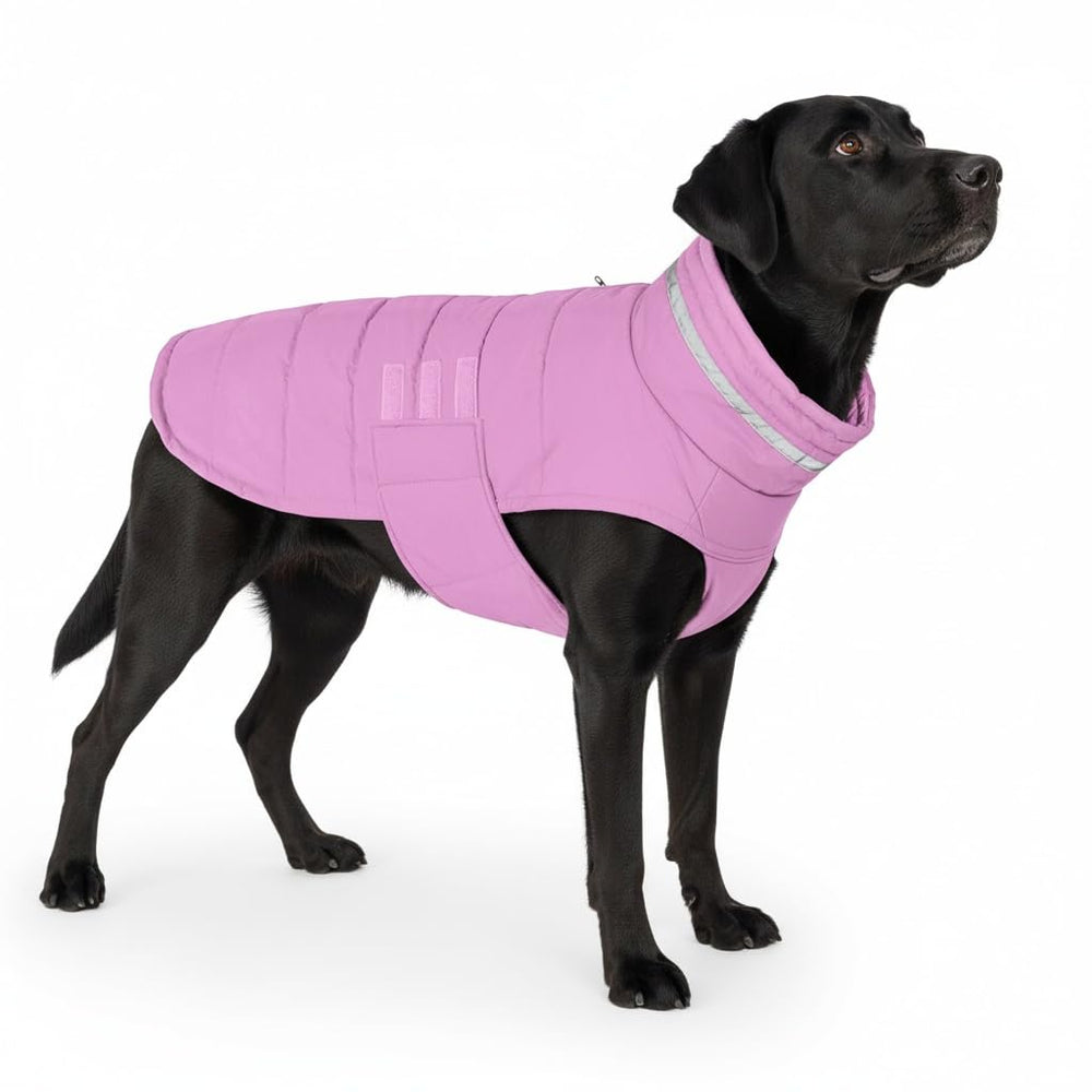 Mklhgty waterproof dog coat on a dog in rain for warm protection.