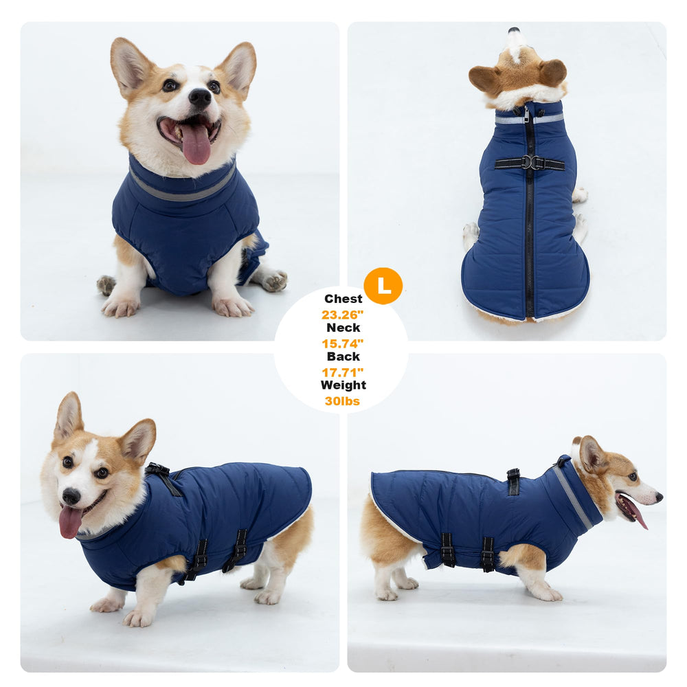 Mklhgty windproof snow ready design keeps dogs comfortable outdoors