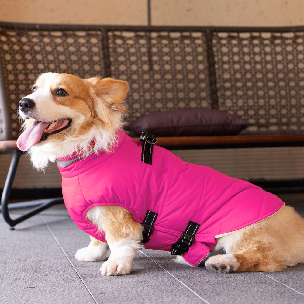 Mklhgty xs-pink-dog-coat-winter fits small breeds with cozy warmth.