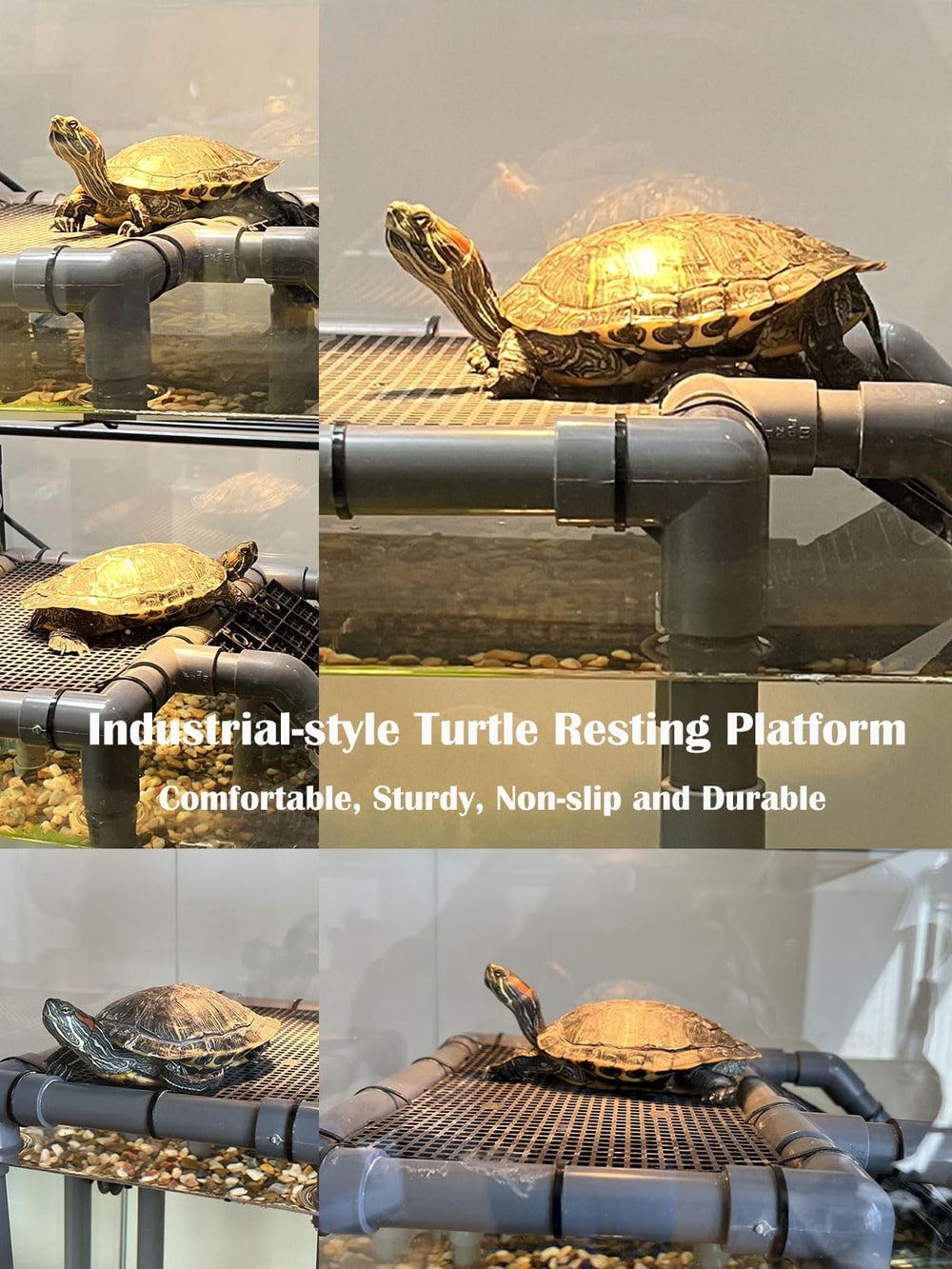 MLONDHSU turtle basking-platform eggcrate-detail provides drainage-friendly surface.