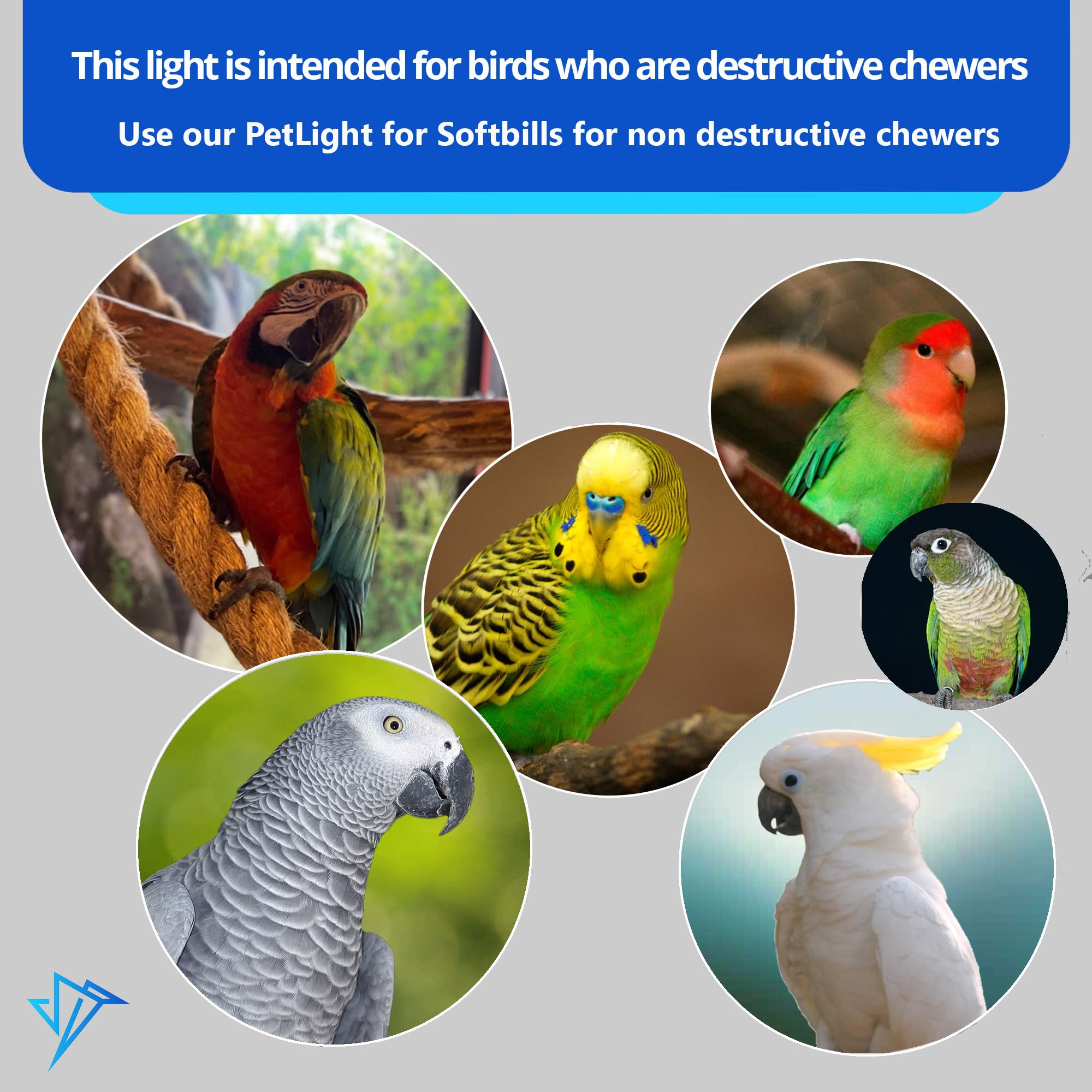 M&M Cage HappyBird bird-safe-setup for soft-billed birds and other habitats.