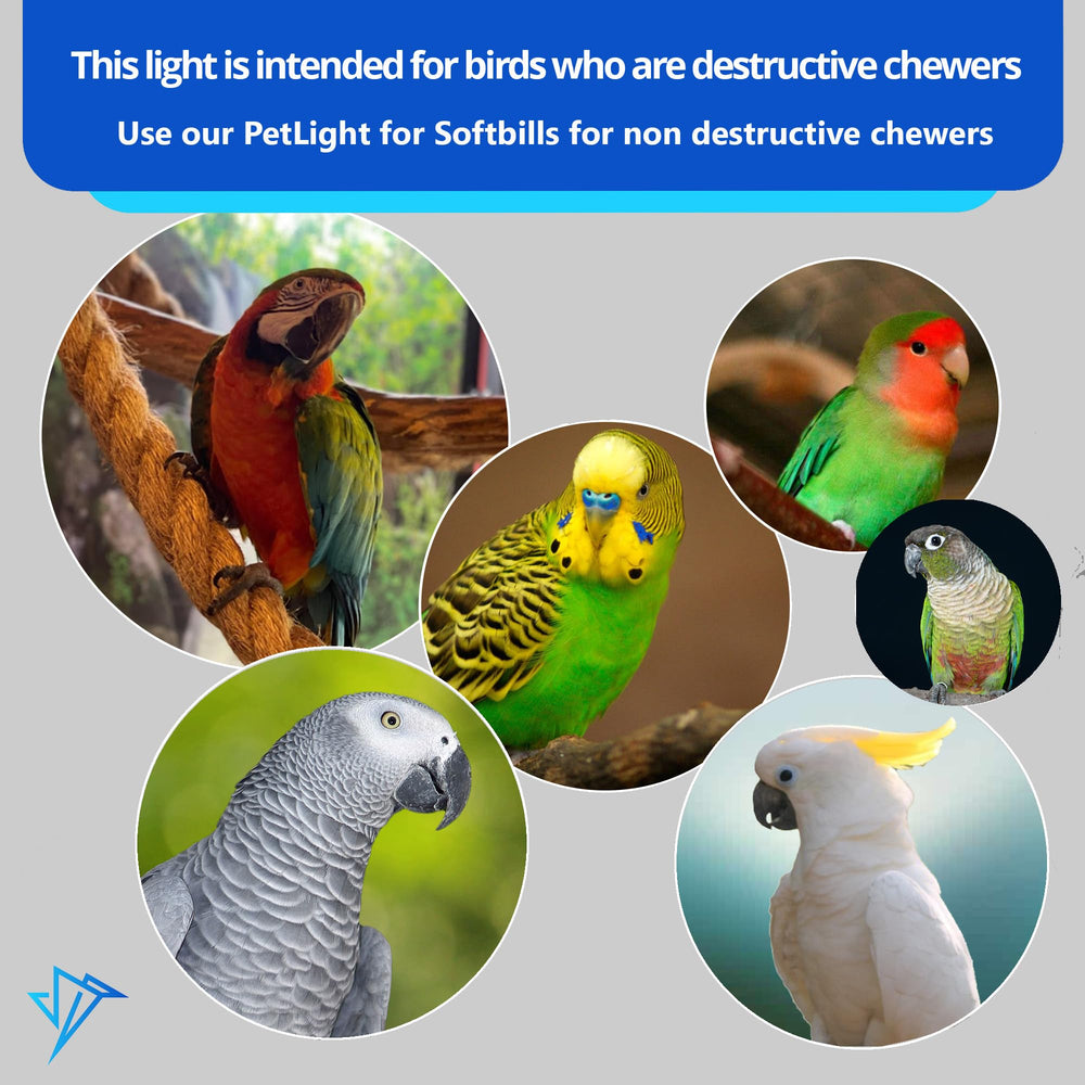 M&M Cage HappyBird bird-safe-setup for soft-billed birds and other habitats.