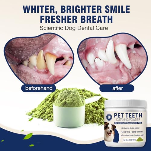 MNQAXZ fresh breath formula green tea powder for dogs during meals