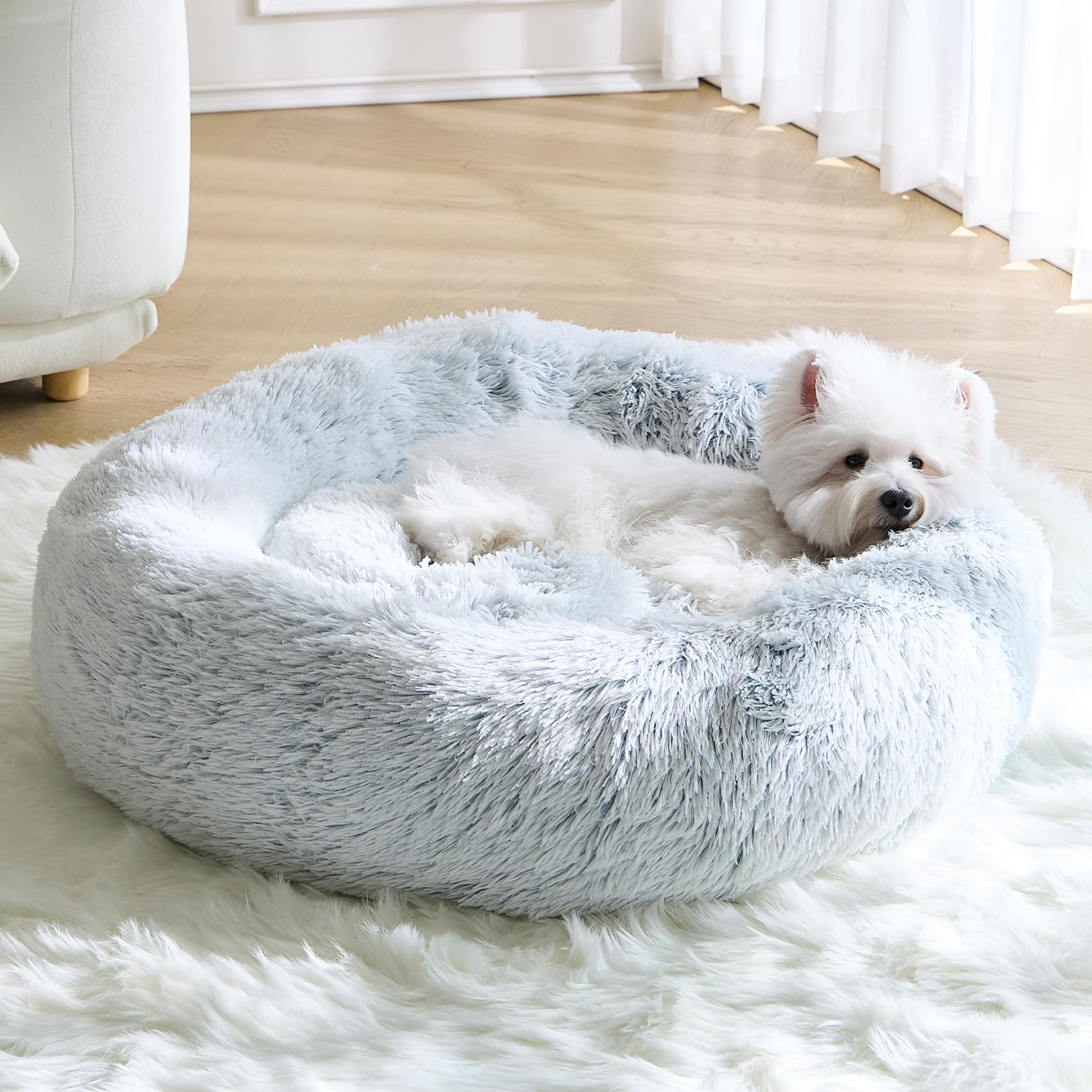 MNWHUC calming small dog bed outer view shows cozy round design for restful naps