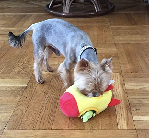 MODERN WAVE bright color dog toy helps spot it quickly during outdoor play
