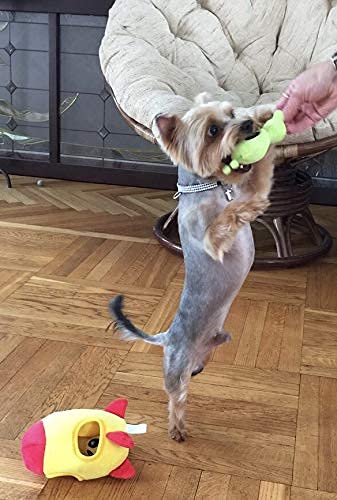 MODERN WAVE interactive squeaky plush toy boosts canine engagement during training