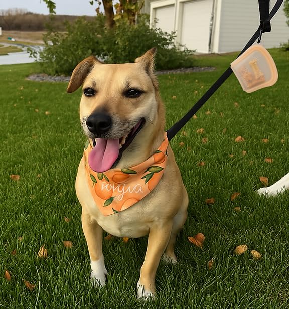 MODERN-X SnapPack supports rescues with 5% profits donated