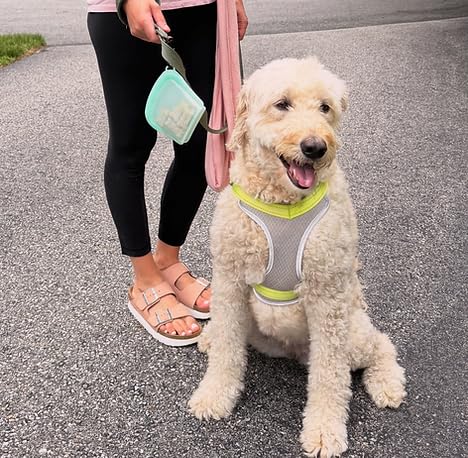 MODERN-X SnapPack odor-resistant seal keeps treats fresh