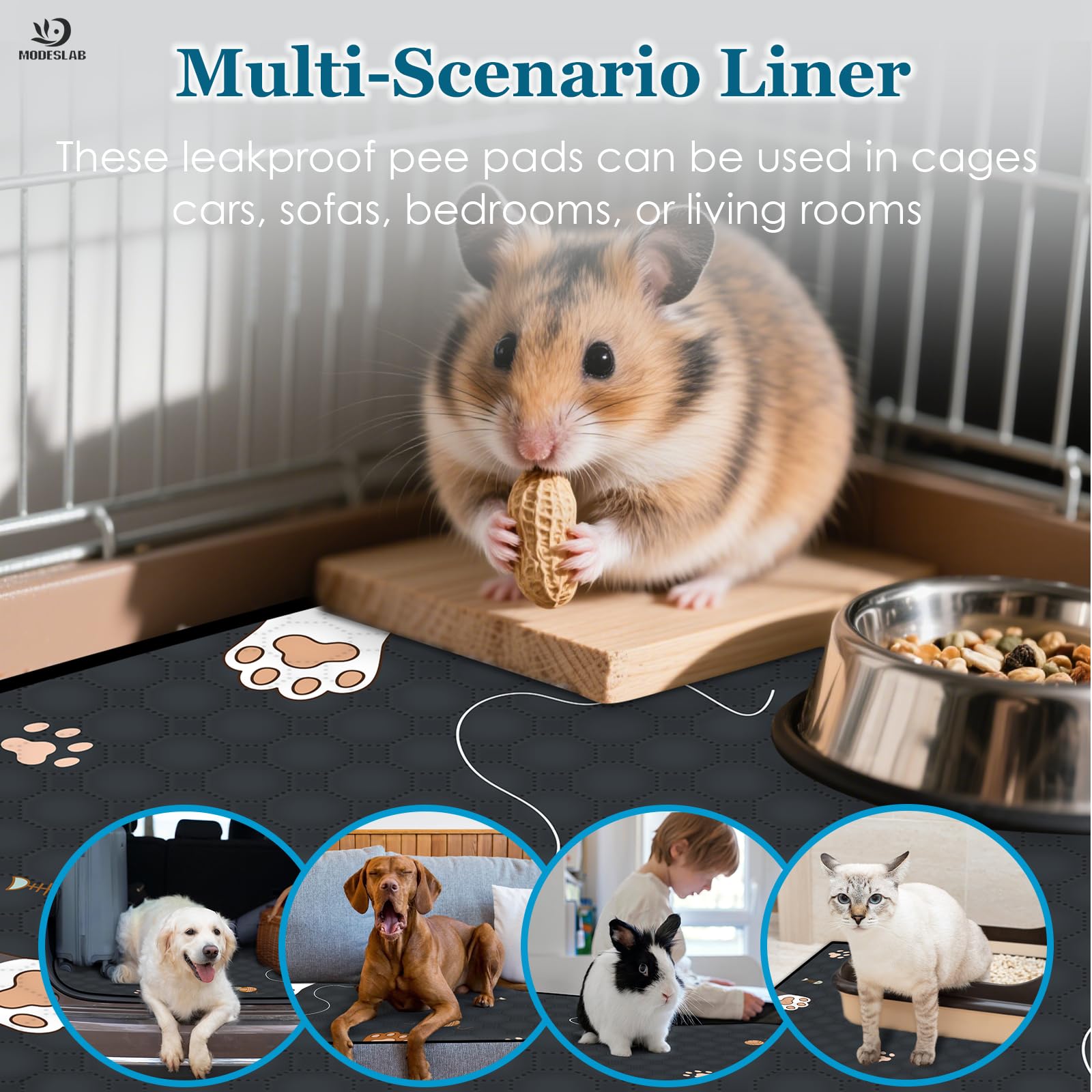 MODESLAB black liner pack suits style and pet setup.