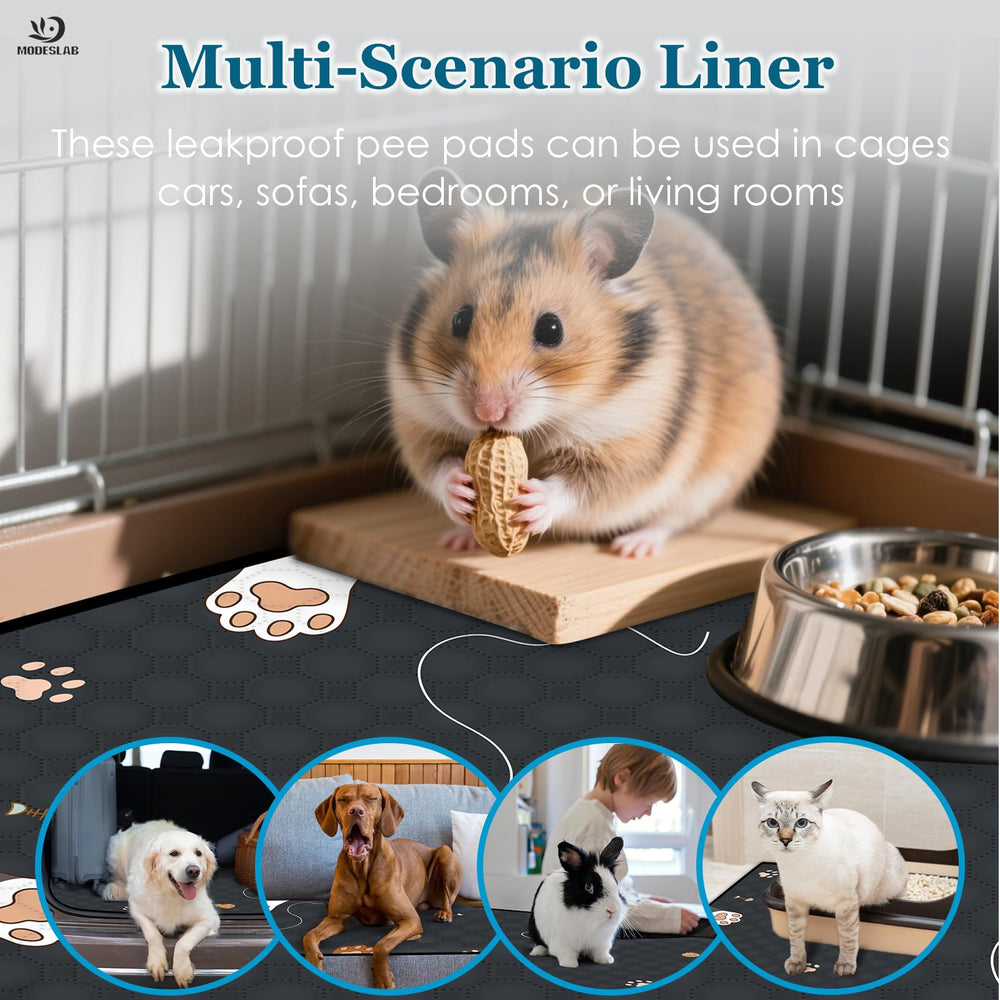 MODESLAB black liner pack suits style and pet setup.