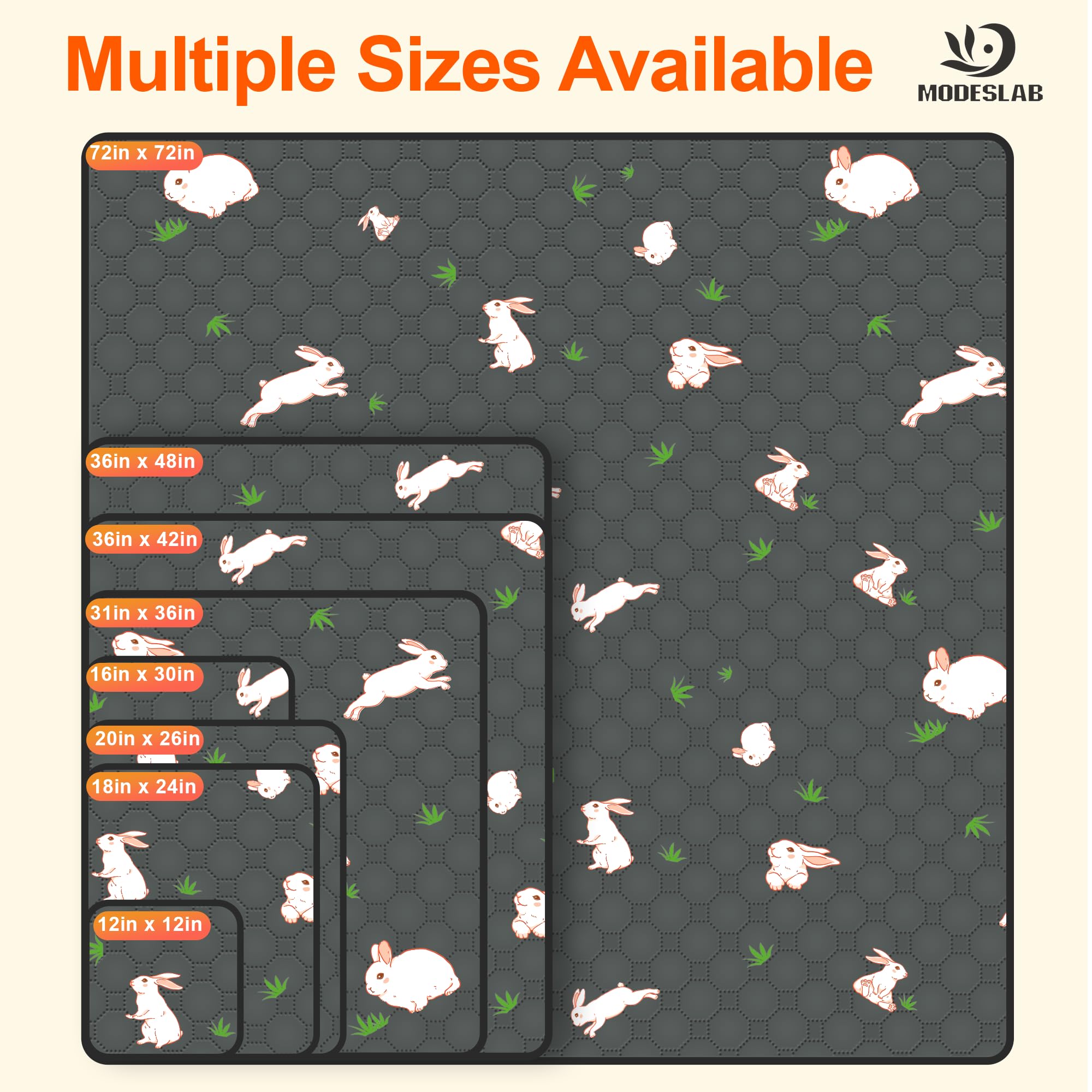 MODESLAB 2-pack brings value and convenience for frequent cleanups.