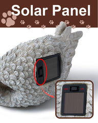 MoDinity dog memorial solar light display highlighting your dog's photo after sunset