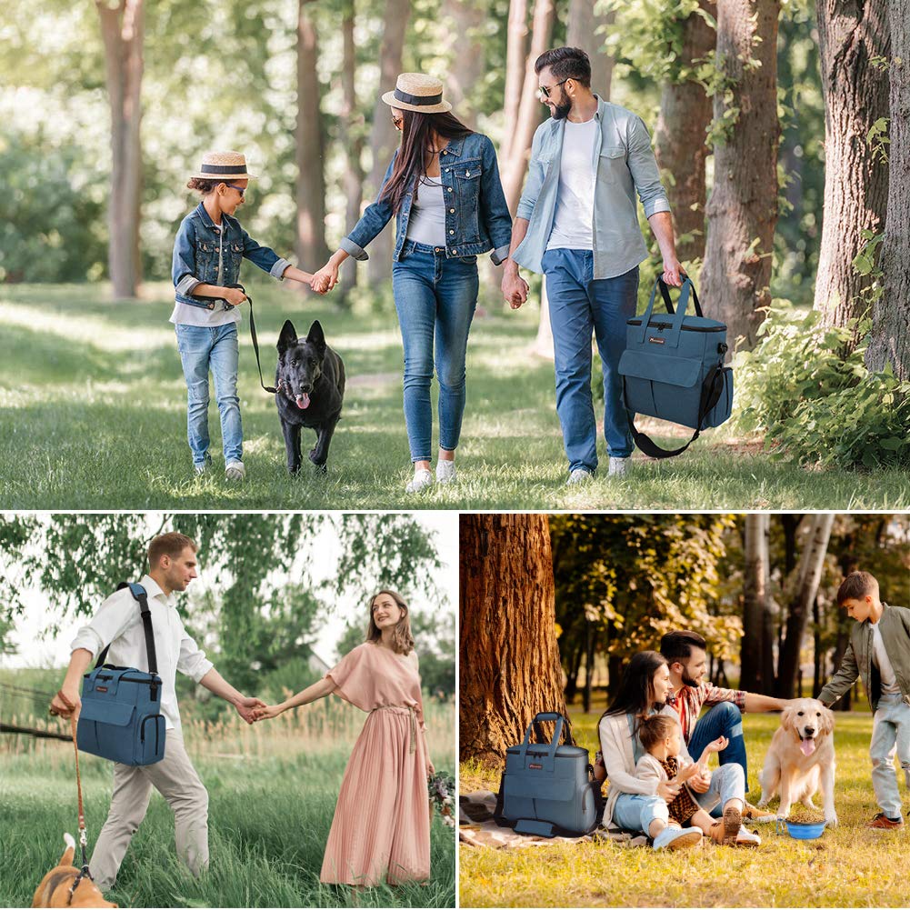 Modoker dog travel bag as an all-in-one pet gear solution for trips