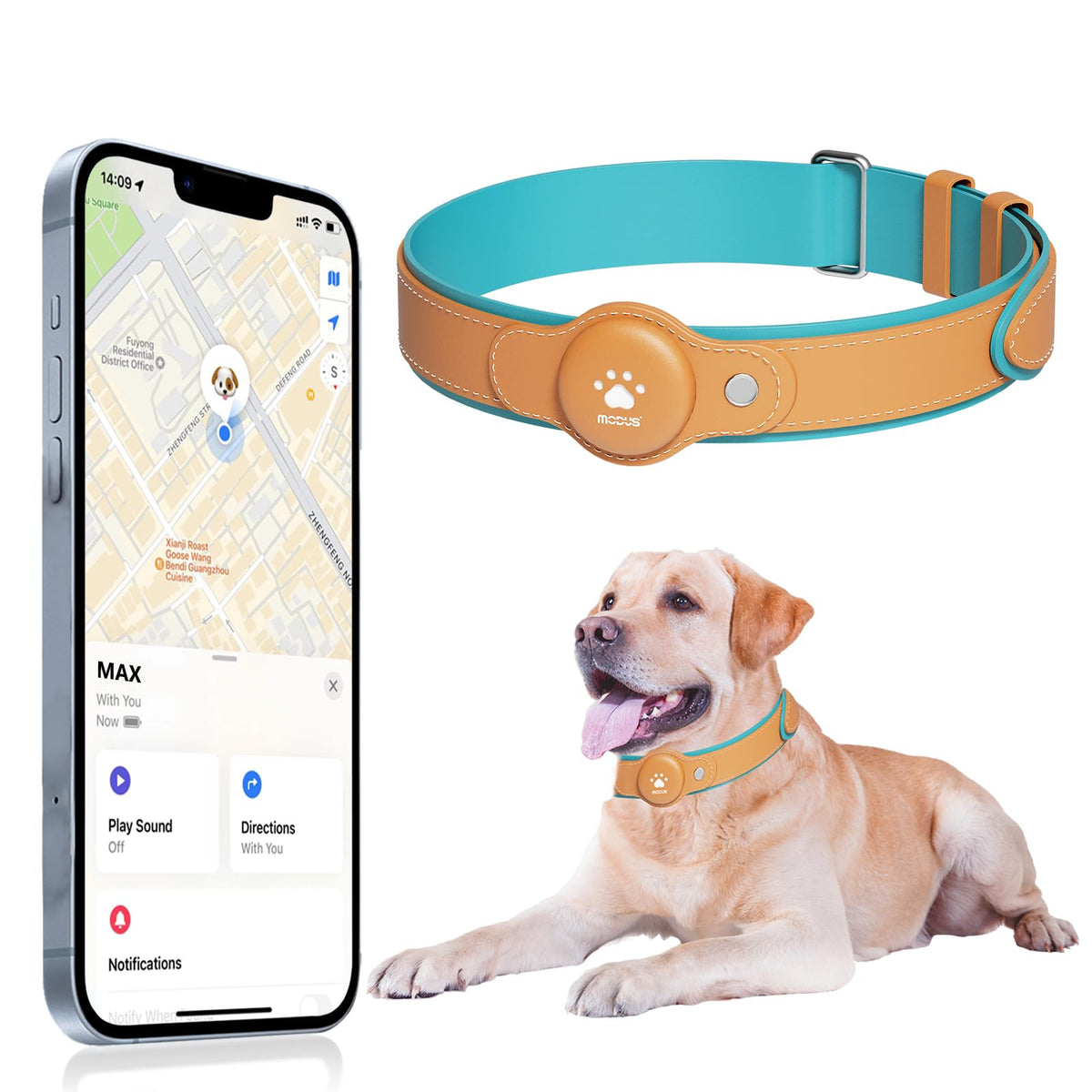 MODUS GPS Tracker dog collar closeup shows secure fit for daily adventures.