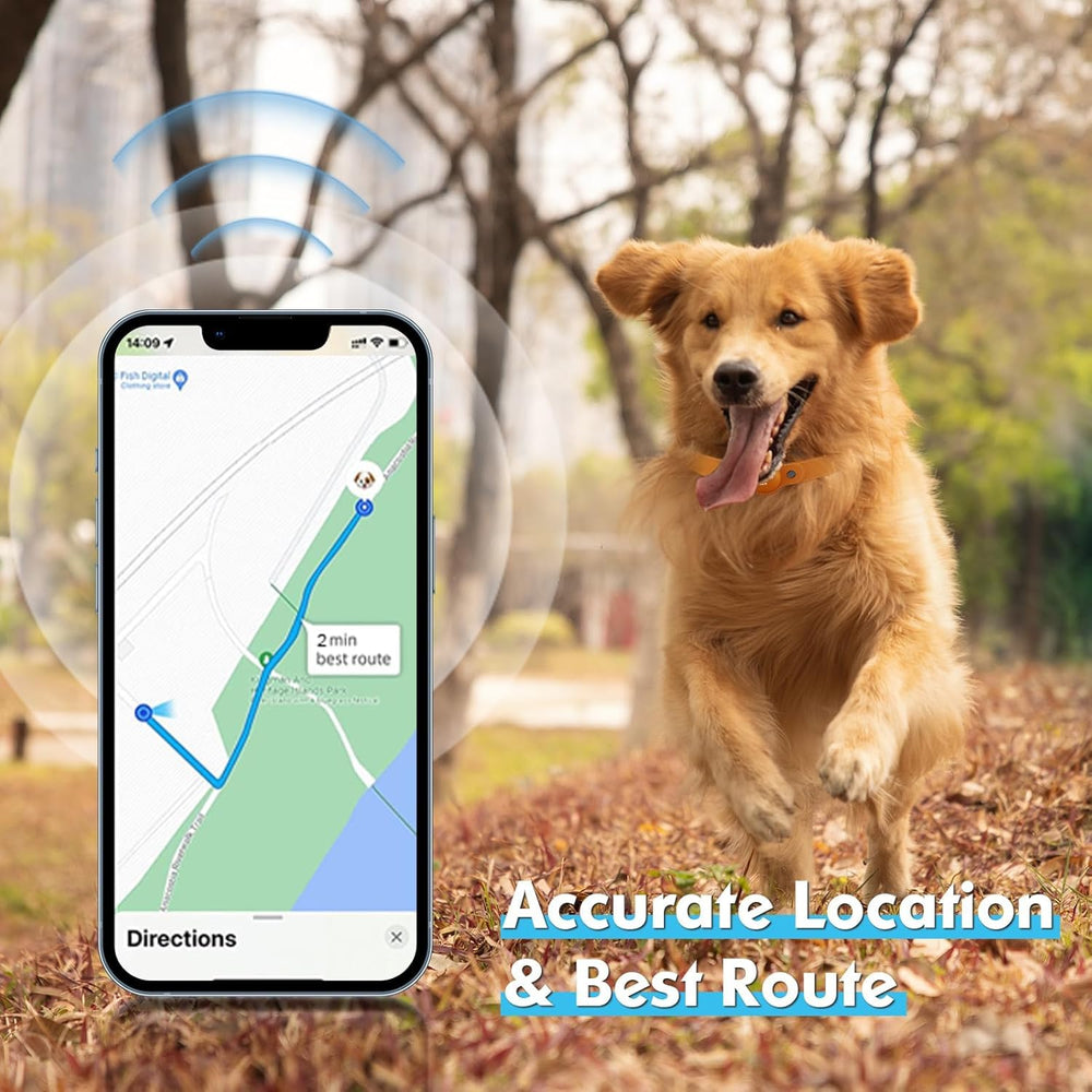 MODUS GPS Tracker dog collar location history map shows where your dog has been.