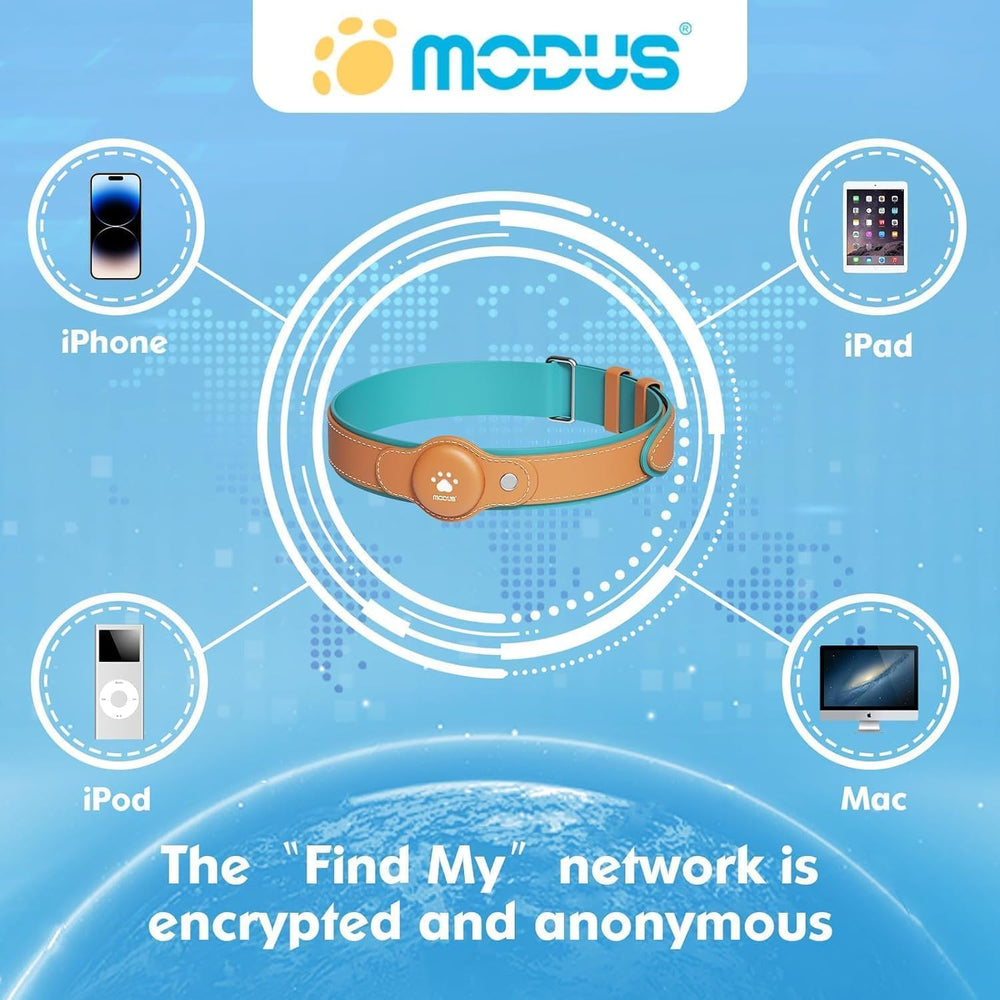 MODUS GPS Tracker dog collar waterproof design withstands rain and splashes.