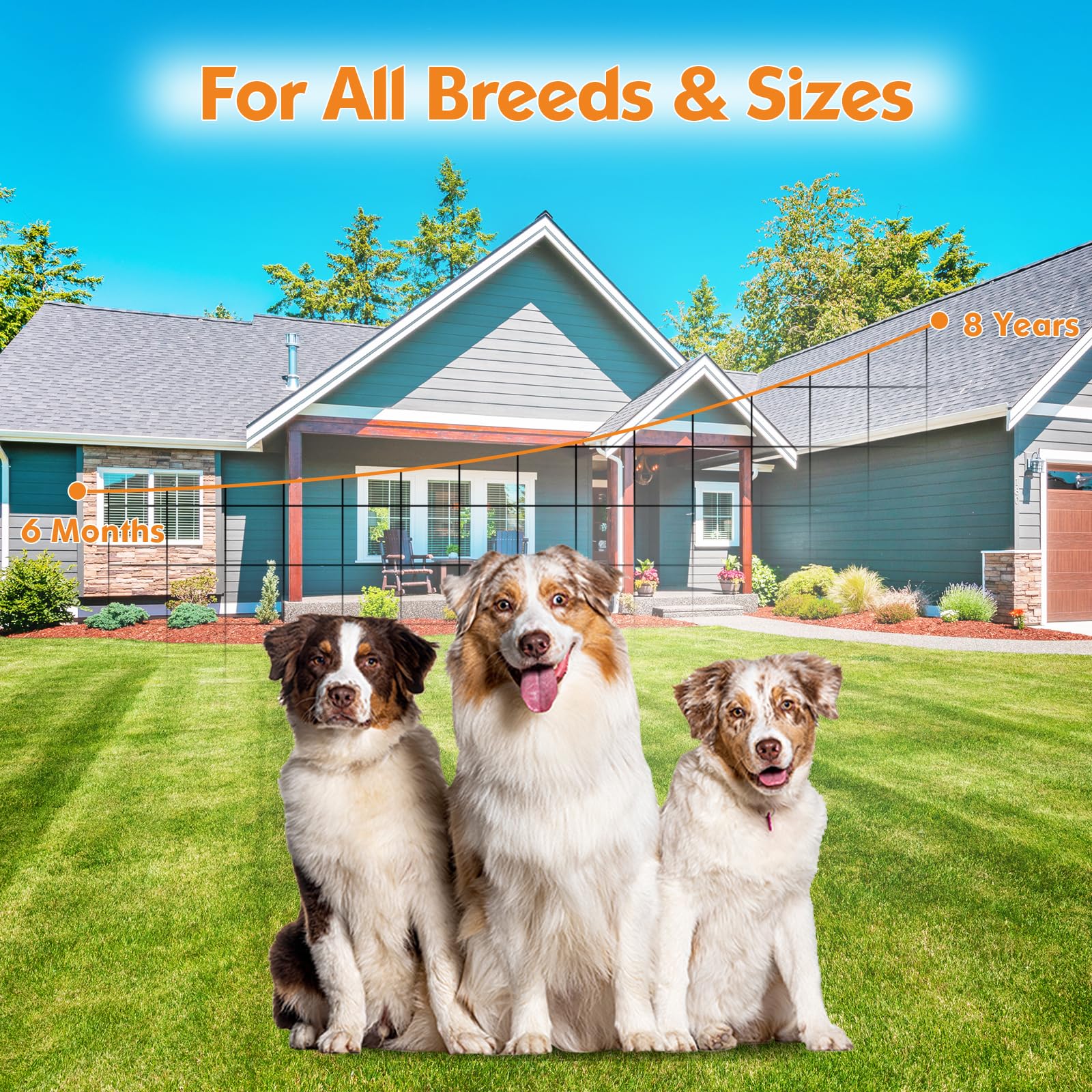MODUS Training-friendly bark control supports daily calming routines without fuss.