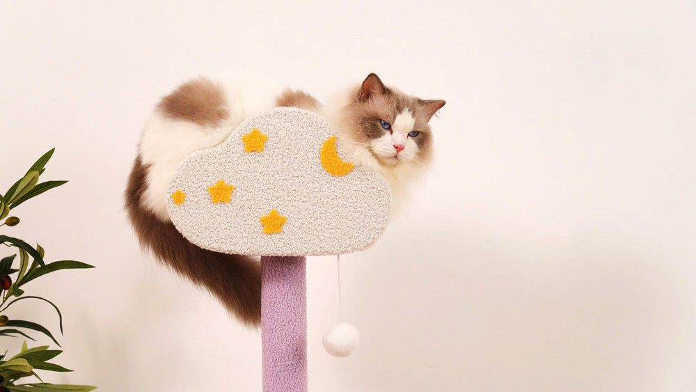 MODUSKYE Moon Star Cat Tree gift idea for cat lovers