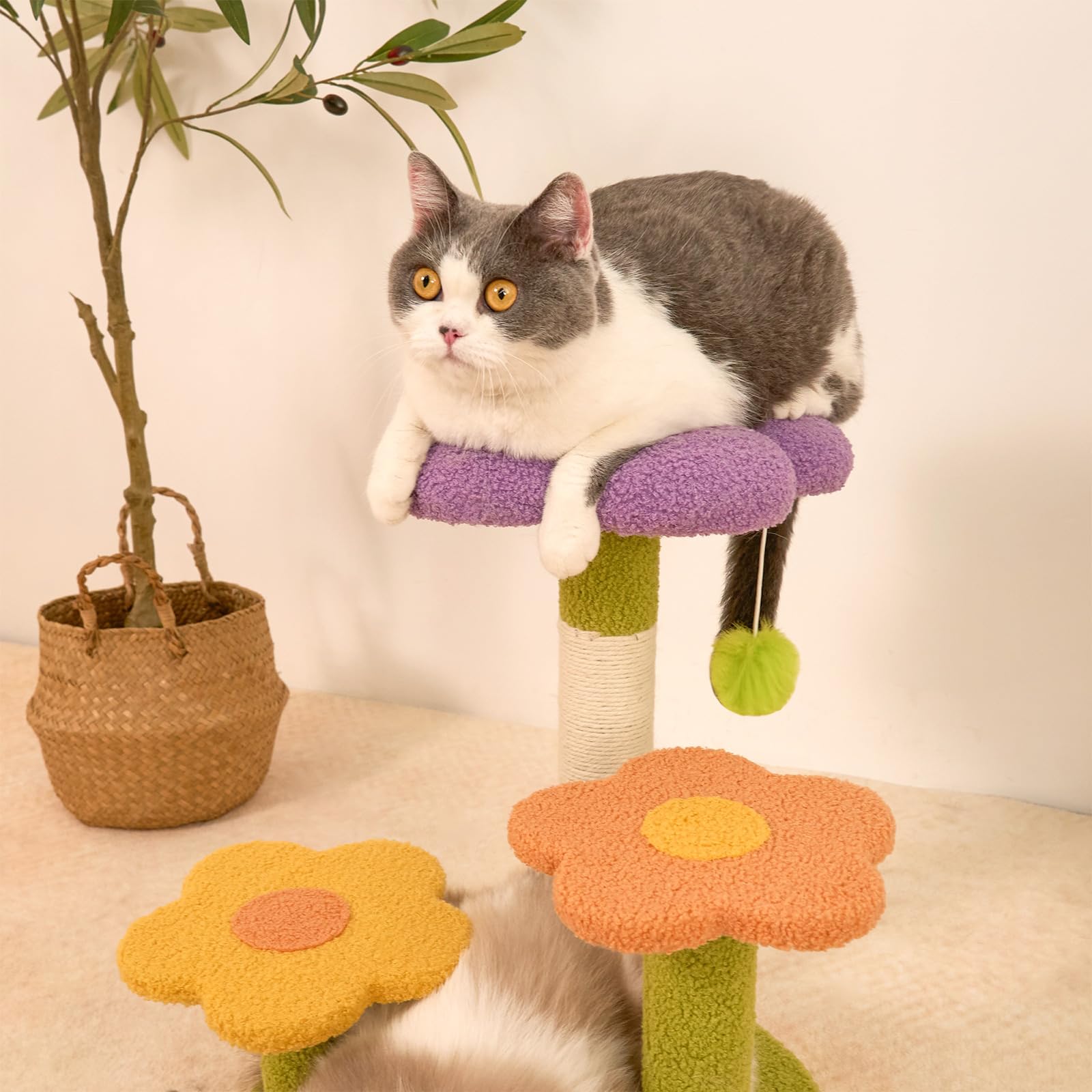 MODUSKYE cat condo with Teddy velvet offers a cozy resting space.
