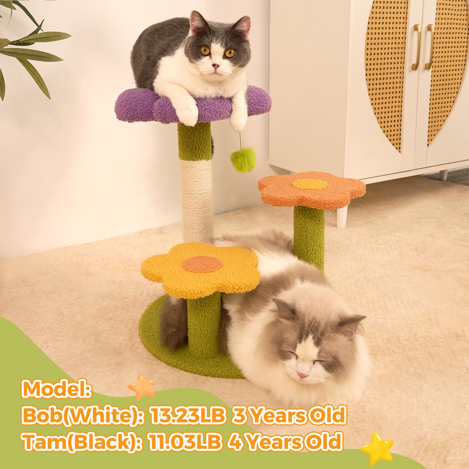 MODUSKYE multi function playground combines scratching, climbing, and napping.