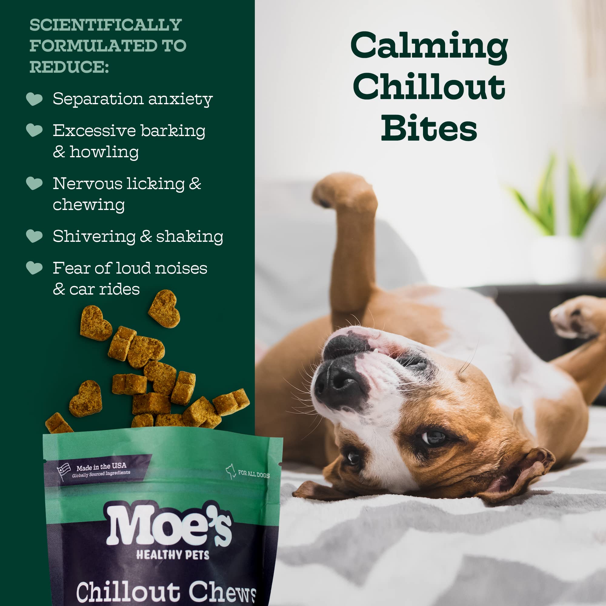 Moe's Calming Chews dog enjoying treat demonstrates a tasty, calming option for anxious moments