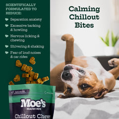 Moe's Calming Chews dog enjoying treat demonstrates a tasty, calming option for anxious moments