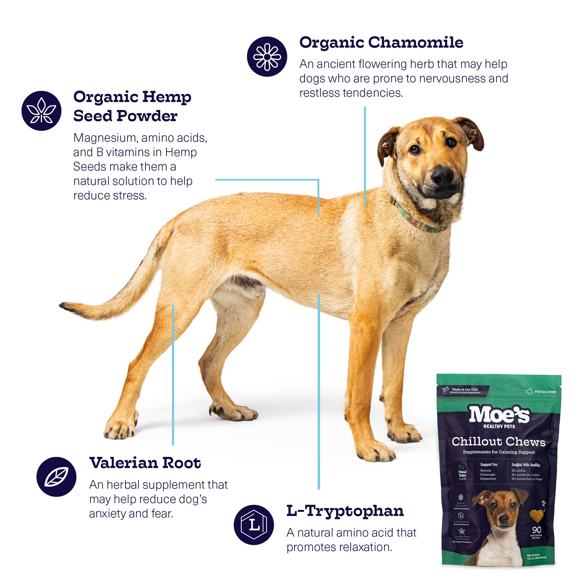 Ingredient close-up highlights hemp, chamomile, and tryptophan in Moe's Calming Chews
