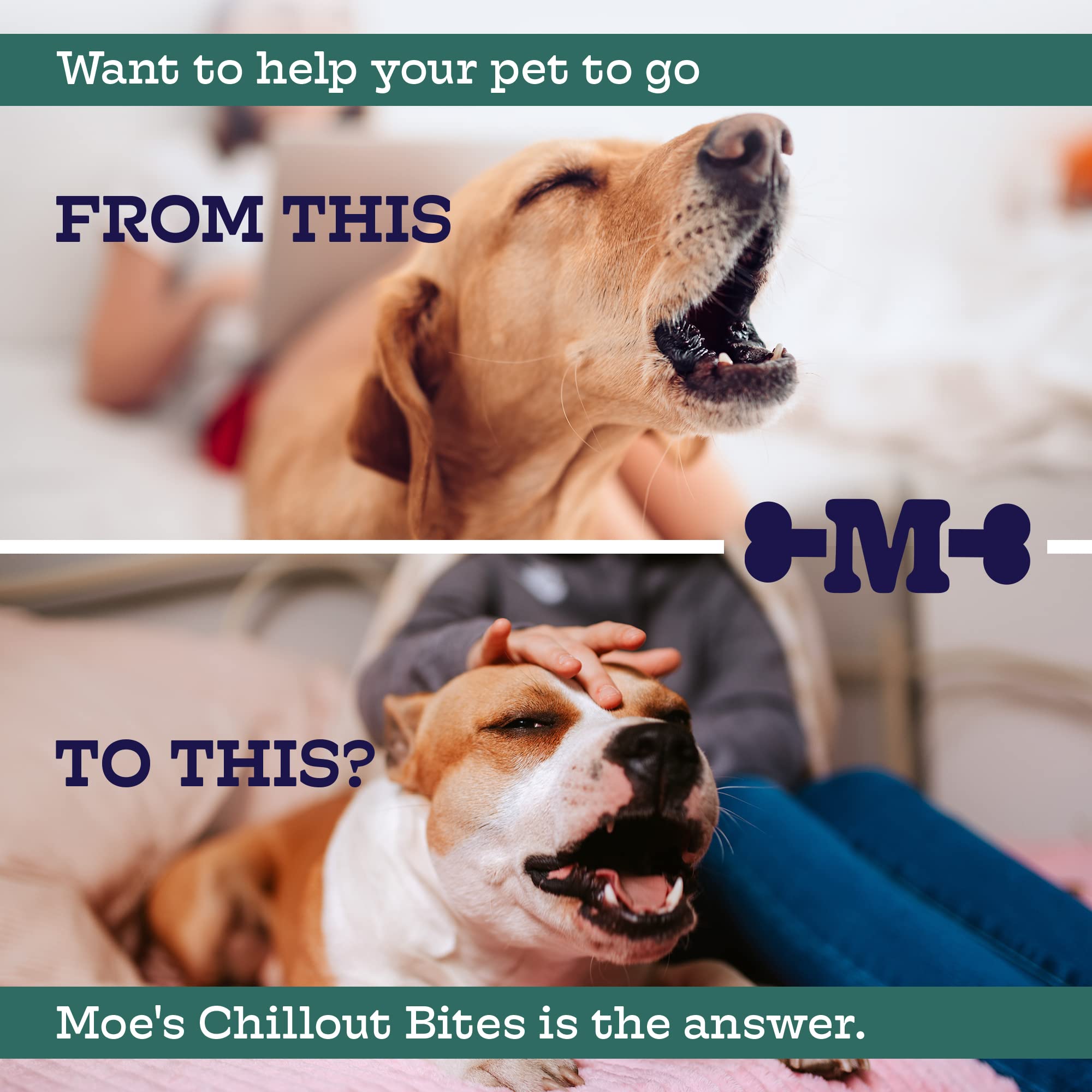 Moe's Calming Chews packaging label emphasizes a veterinarian-developed formula for emotional wellness