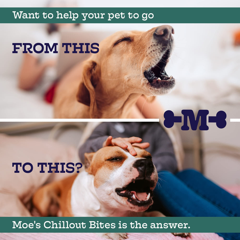 Moe's Calming Chews packaging label emphasizes a veterinarian-developed formula for emotional wellness