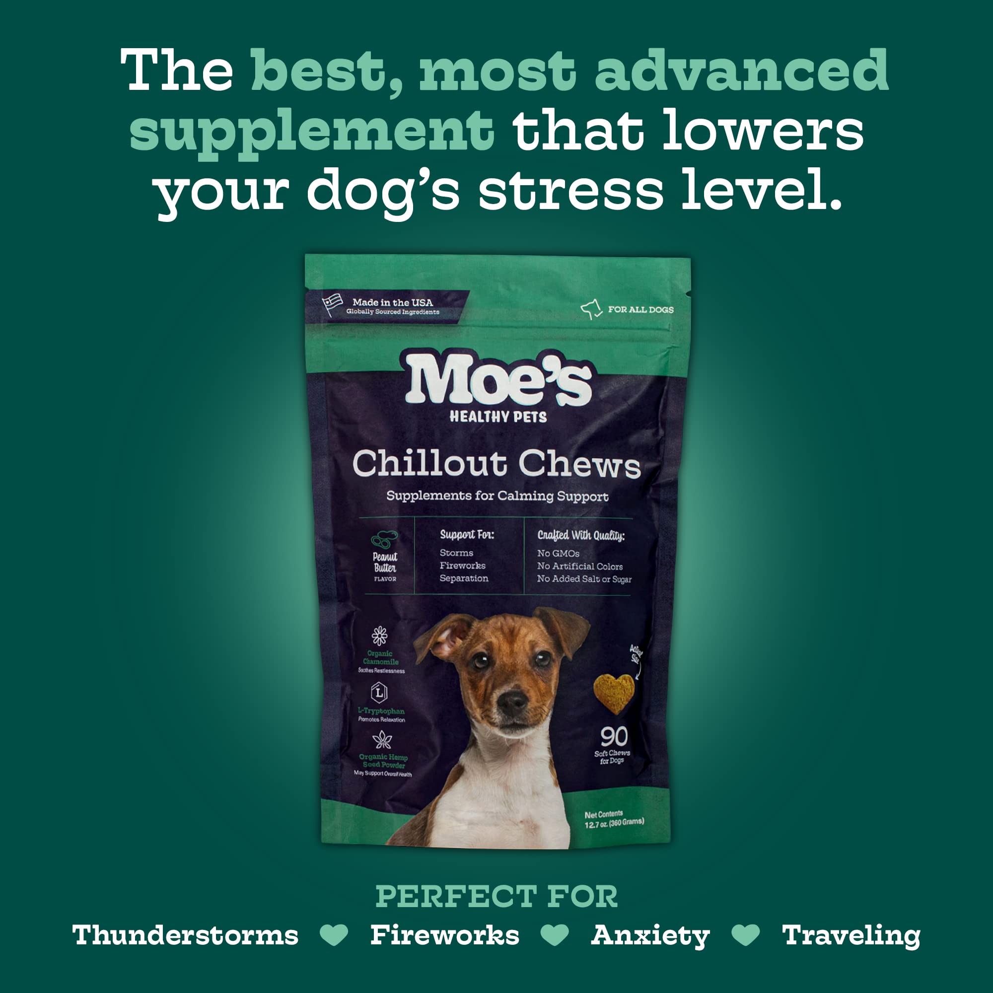 Relaxed dog after a chew shows potential support during vet visits or travel