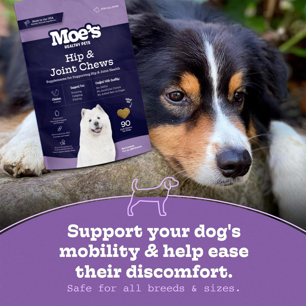 Moe's Healthy Pets bone health illustration implying long term joint maintenance