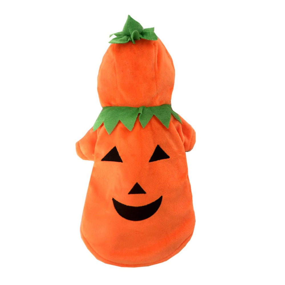 Mogoko pet cosplay pumpkin hat adds charm during Halloween celebrations