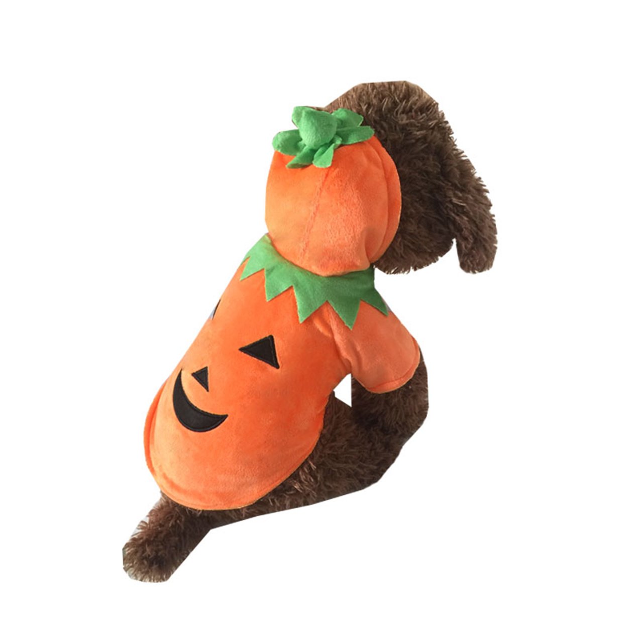 Mogoko winter pet outfit promotes cozy outdoor adventures