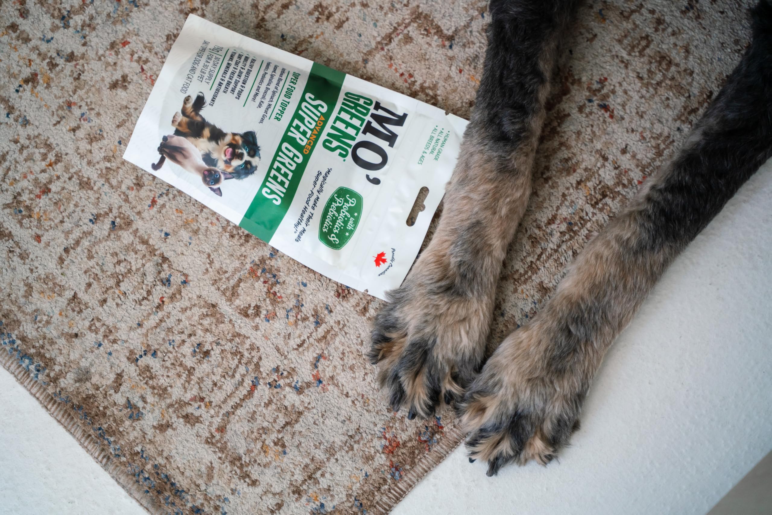 Mo’Greens-family-meal-time-scene: dogs and cats enjoy topper mixed with kibble.