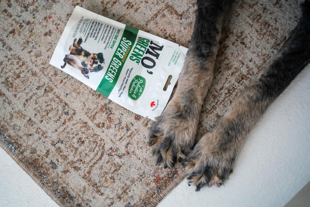 Mo’Greens-family-meal-time-scene: dogs and cats enjoy topper mixed with kibble.