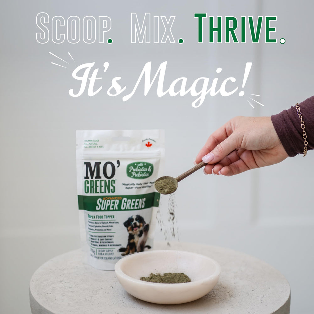 Mo’Greens-packaging-label-front: clear ingredients and benefits for pet owners.