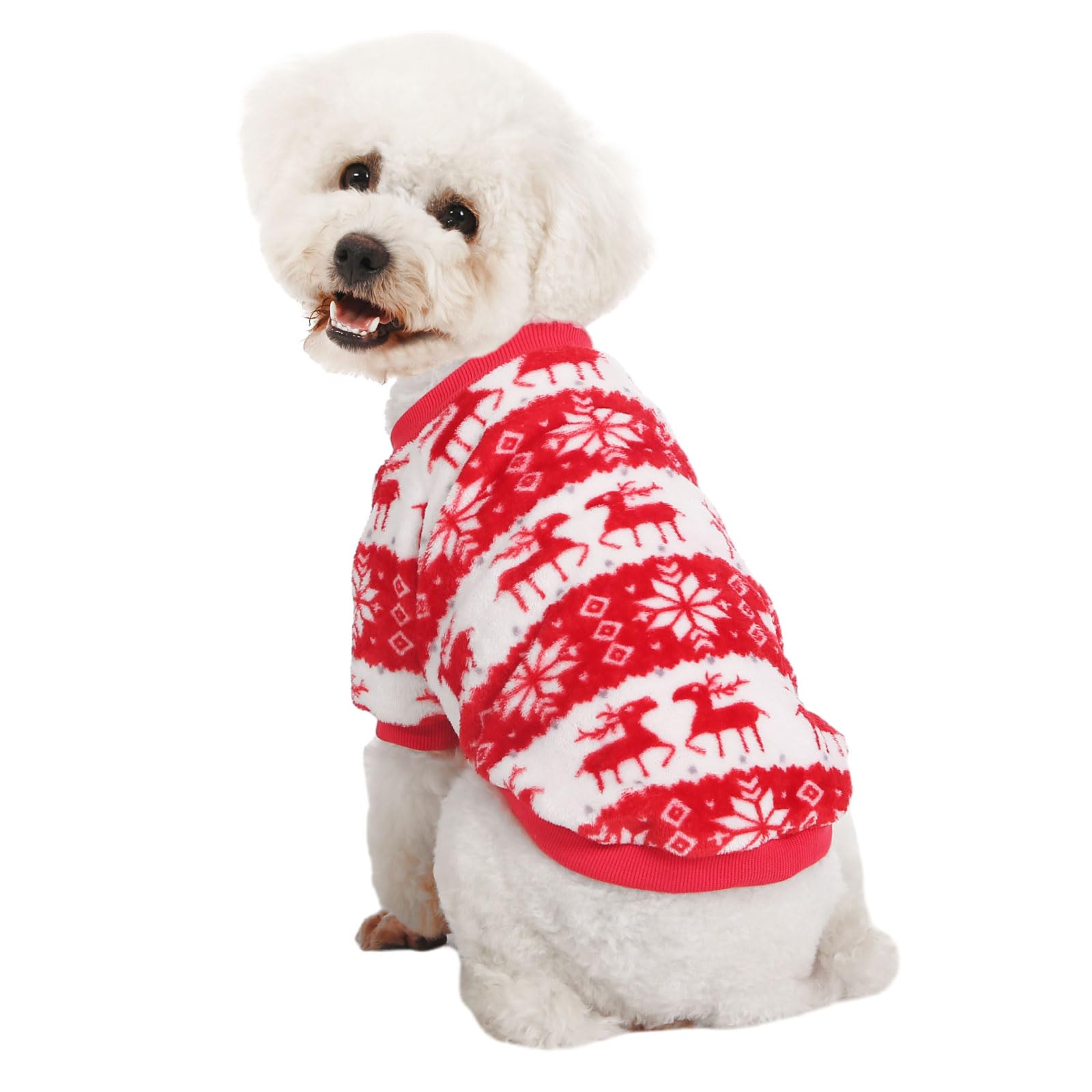 MOIRIG dog sweater care shot illustrates machine wash and low-dry guidance