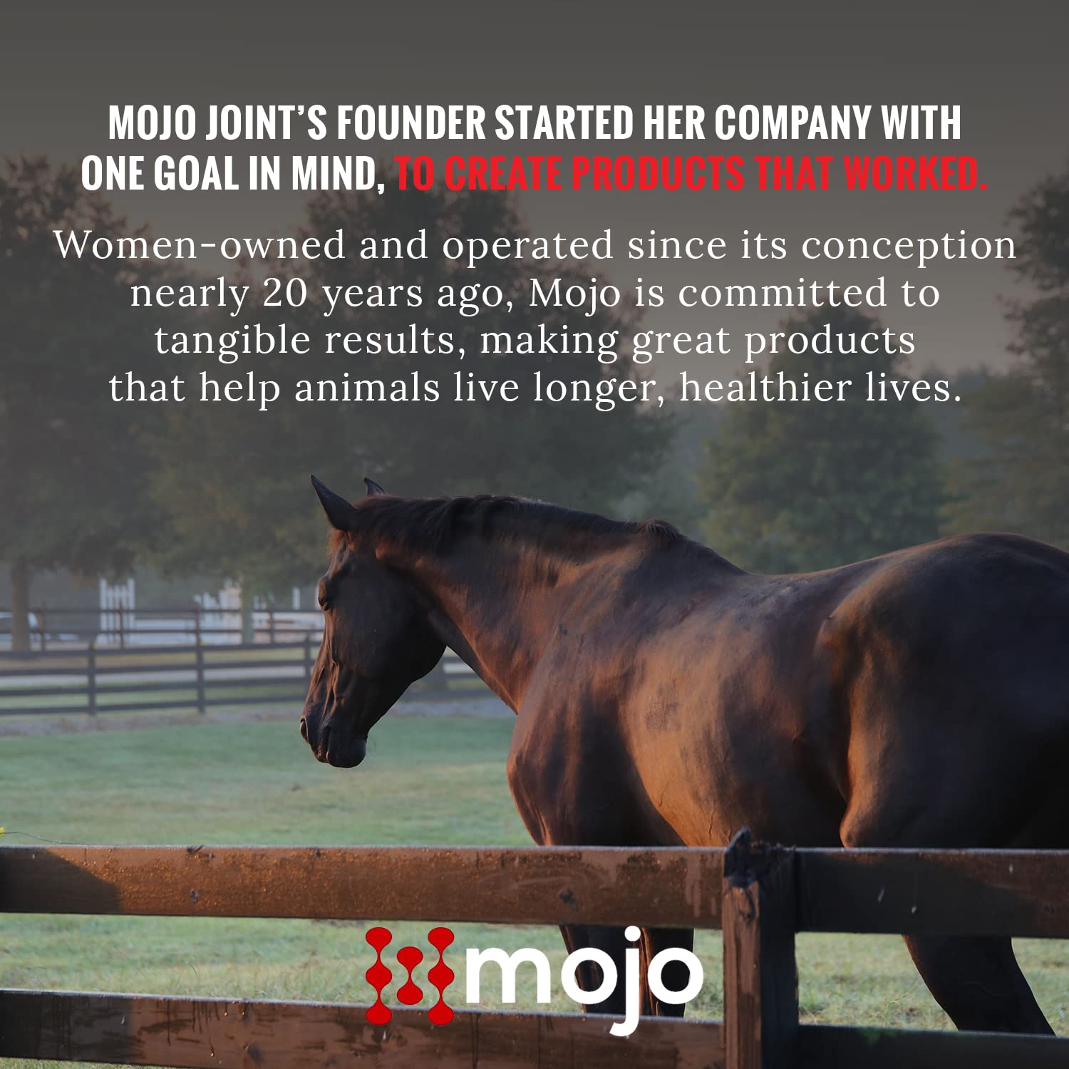 Mojo Joint label emphasizes natural ingredients aiding joint health and comfort.