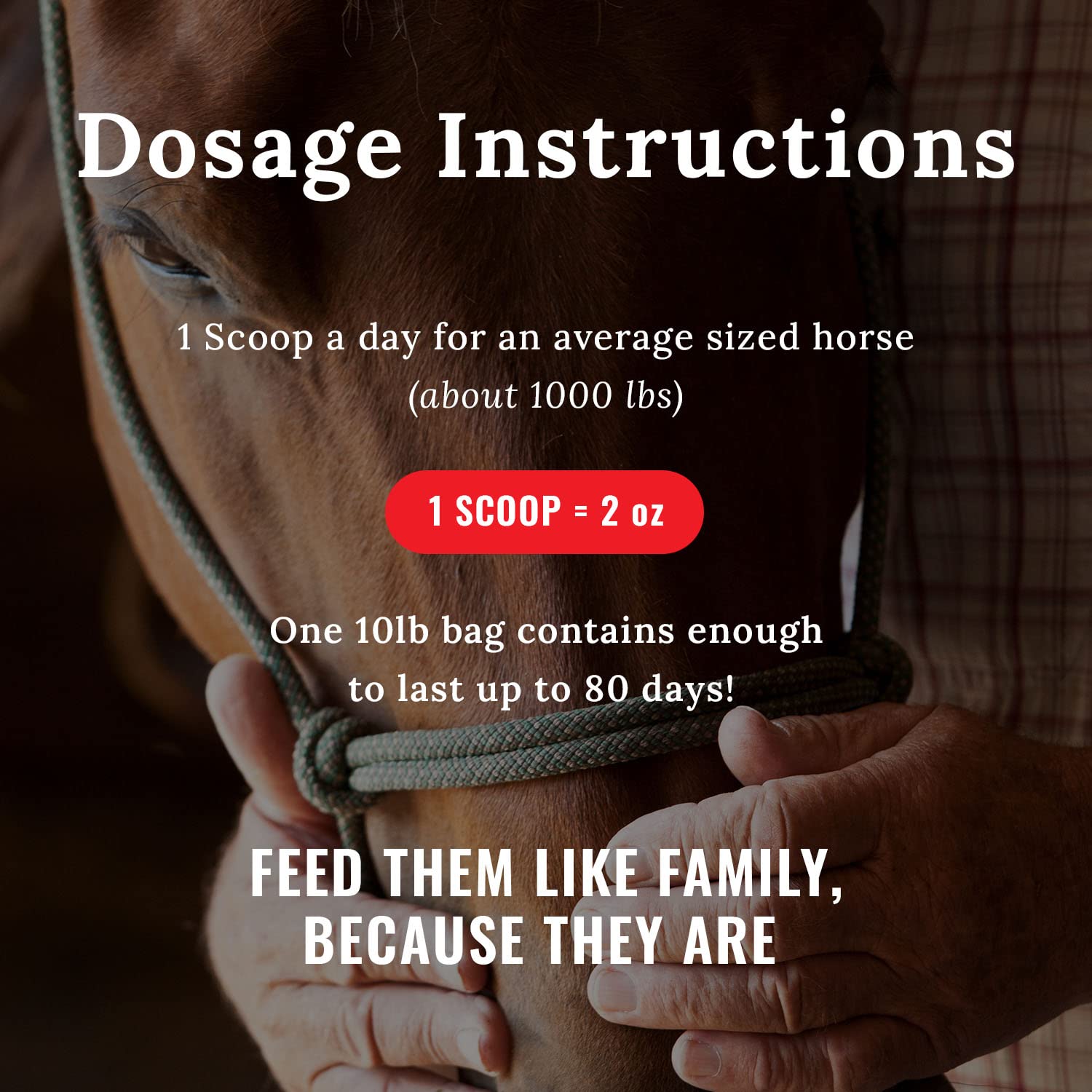 Mojo Joint daily scoop demonstrates simple administration.