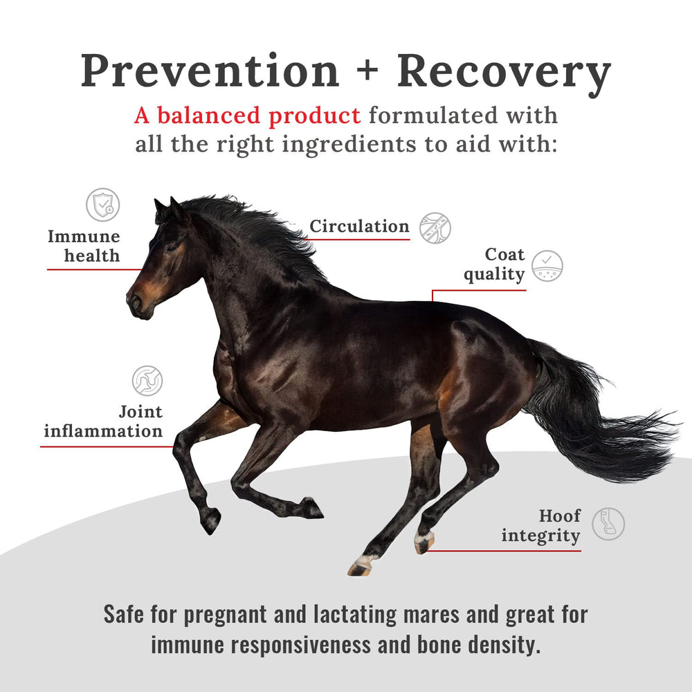 Mojo Joint ingredients label highlights glucosamine, HA, and MSM.