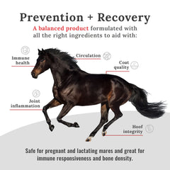 Mojo Joint ingredients label highlights glucosamine, HA, and MSM.